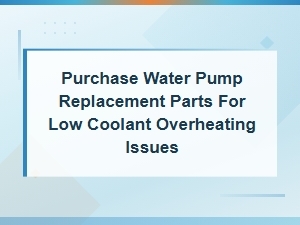 Water Pump Replacement Parts for Low Coolant Overheating Issues